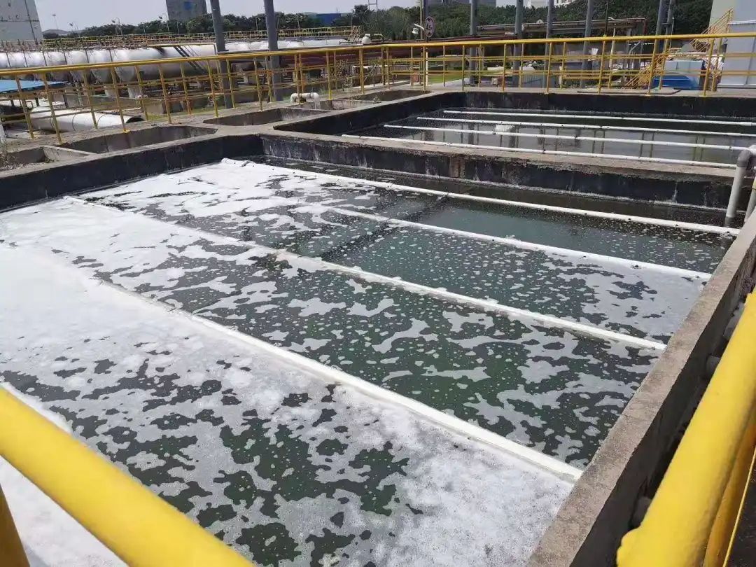 废水生物处理的基本方法-hth首页登录
